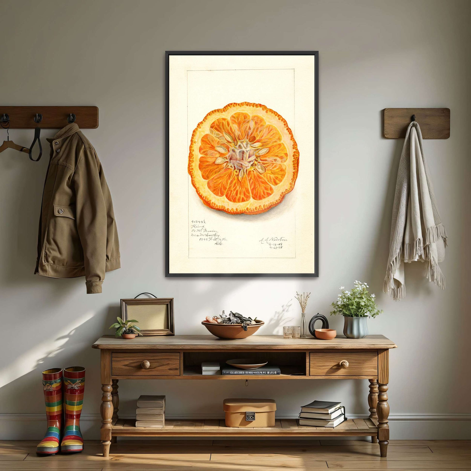Dried orange slice watercolor by Amanda Almira Newton