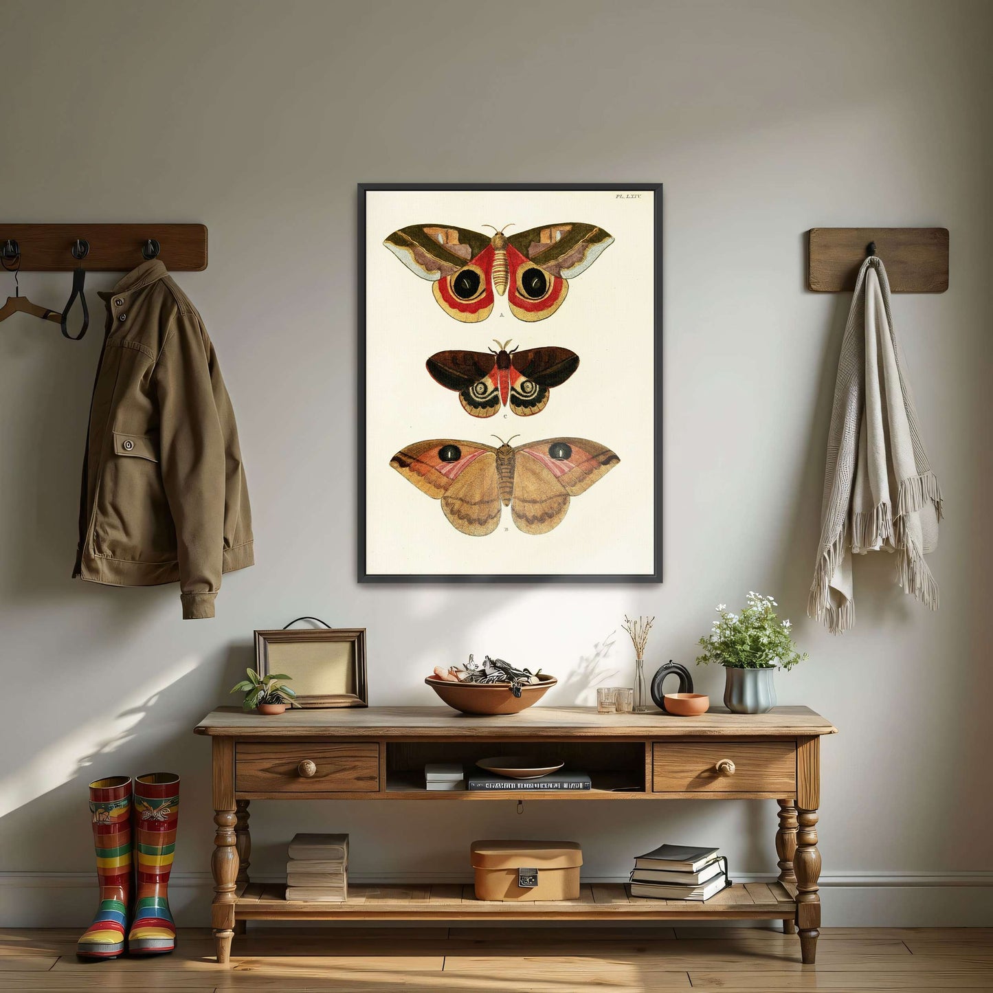 Three butterfly specimens on white background by Pieter Cramer