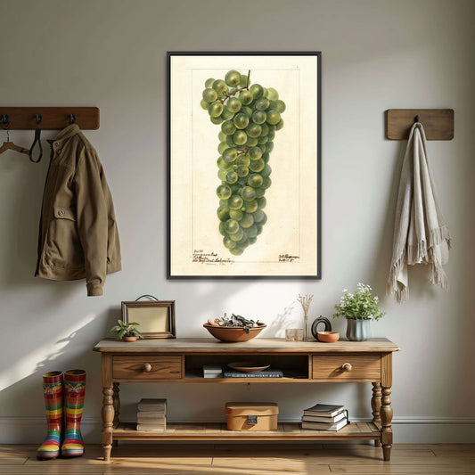 Green grape cluster watercolor by Deborah Griscom Passmore