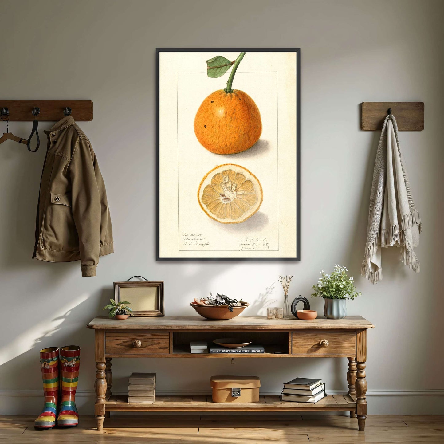 Orange fruit botanical illustration by Ellen Isham Schutt