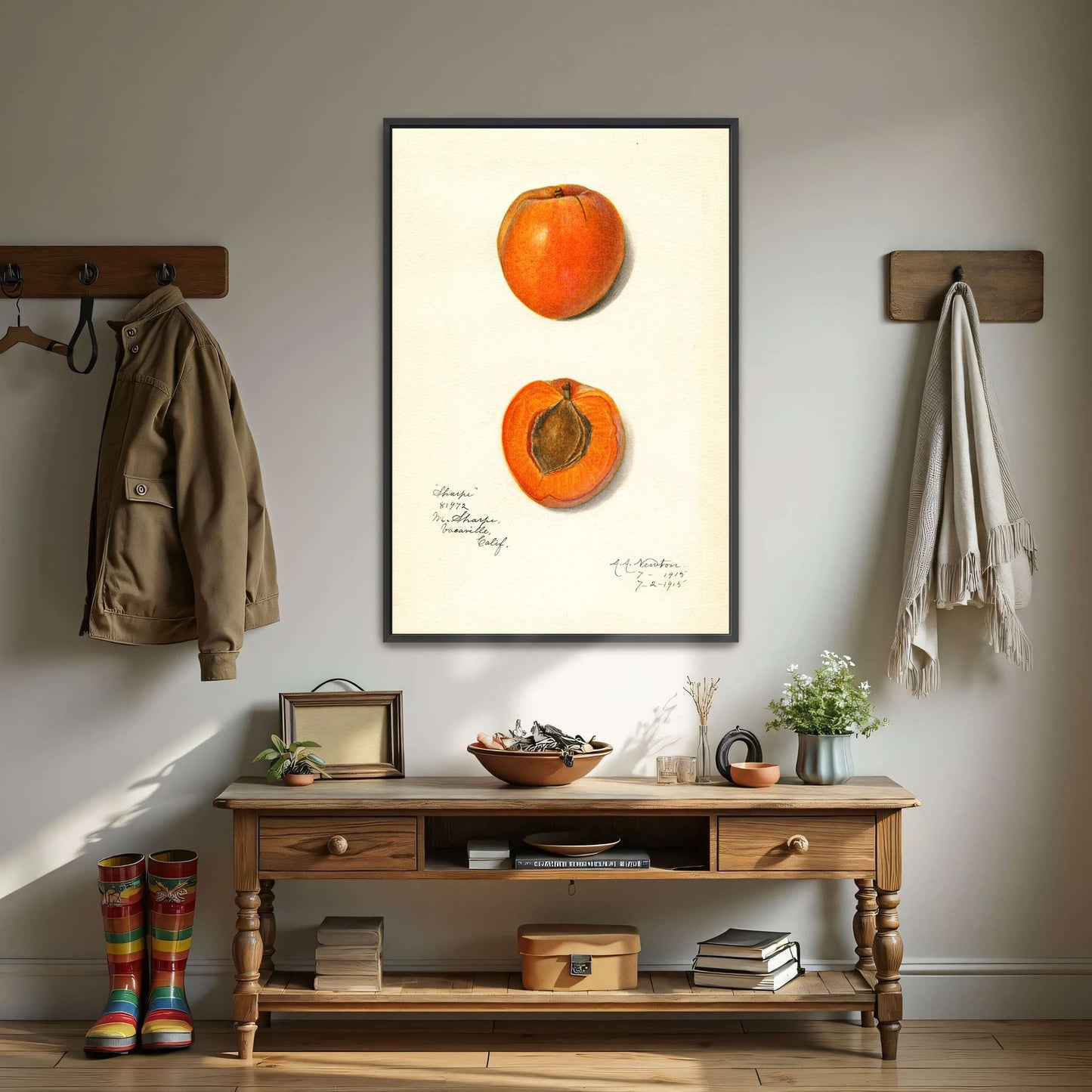 Apricot watercolor painting by Amanda Almira Newton