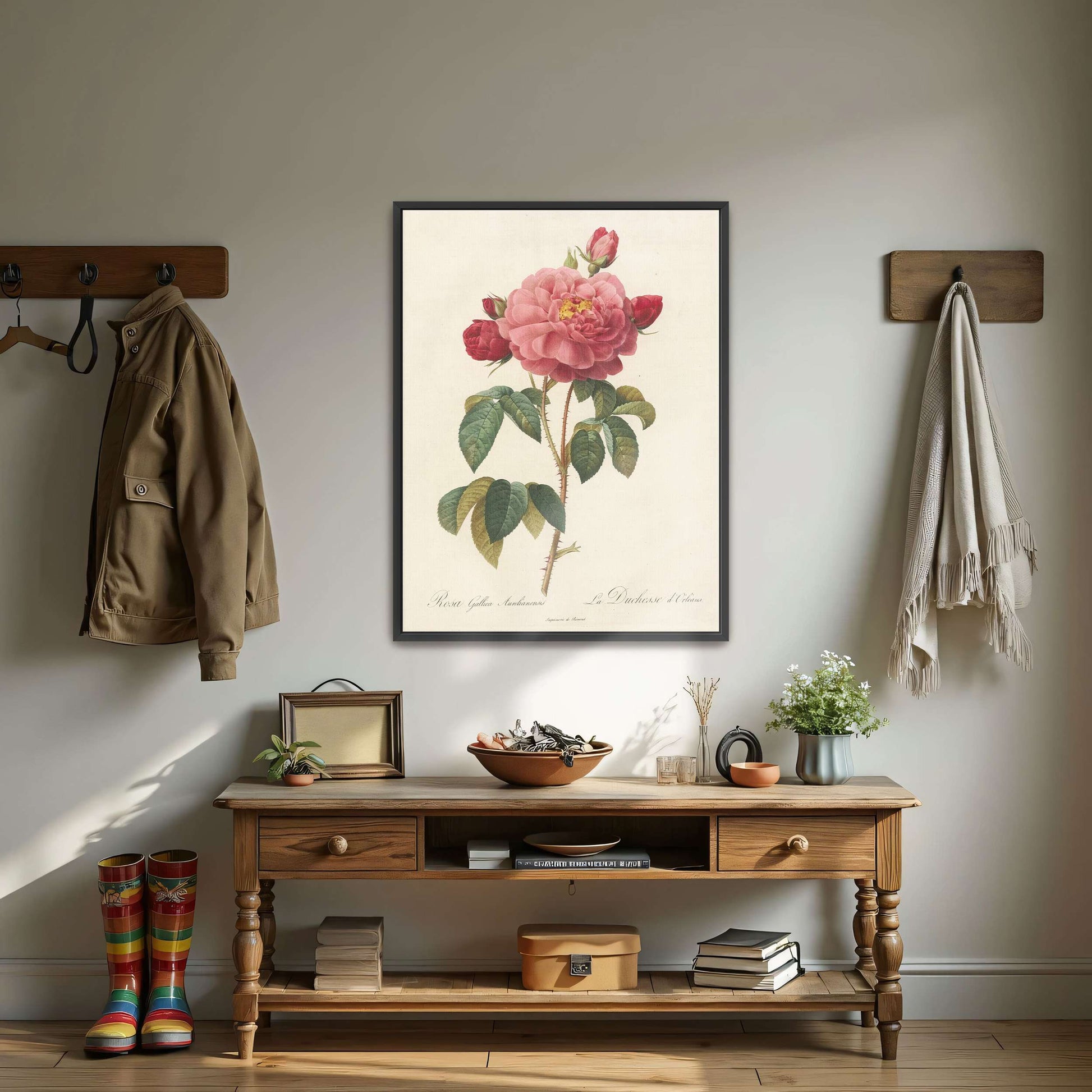 Pink rose botanical illustration by Pierre Joseph Redouté