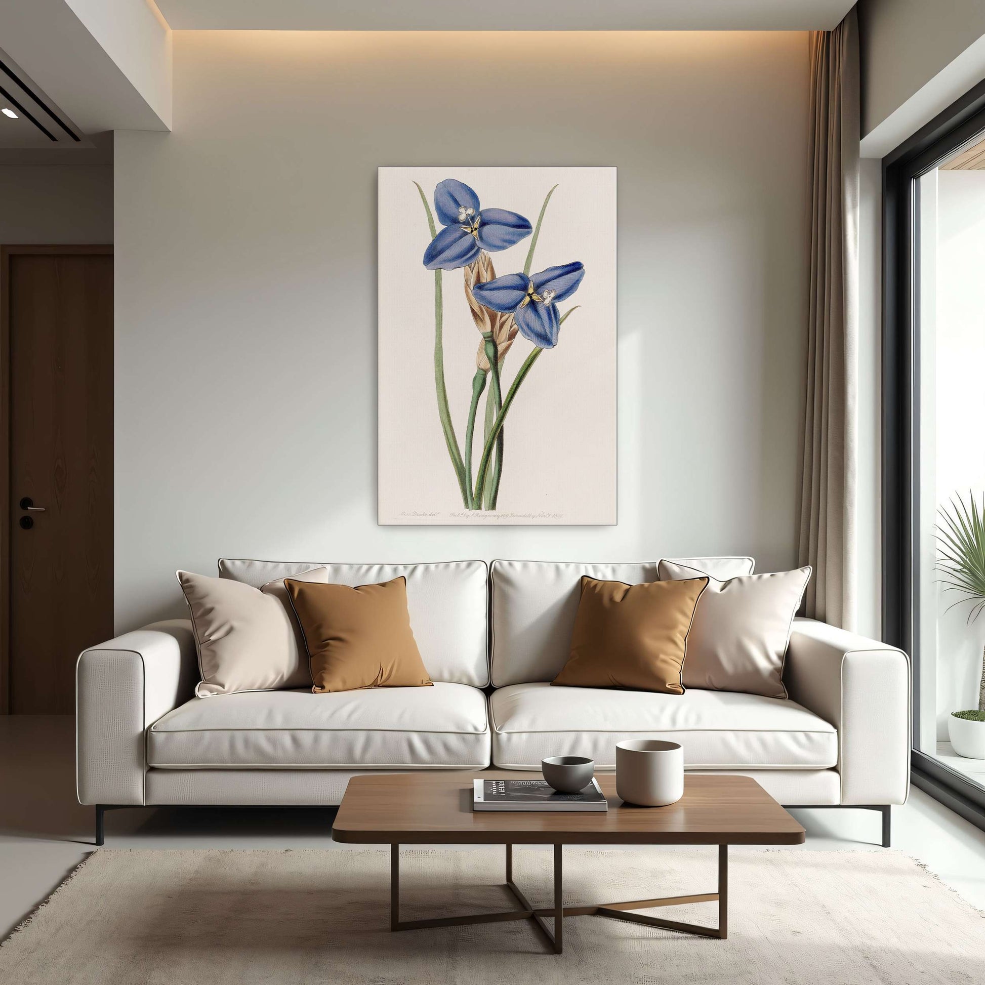 Blue flowers botanical illustration by Sydenham Edwards