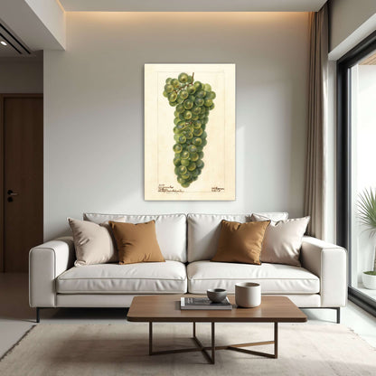 Green grape cluster watercolor by Deborah Griscom Passmore
