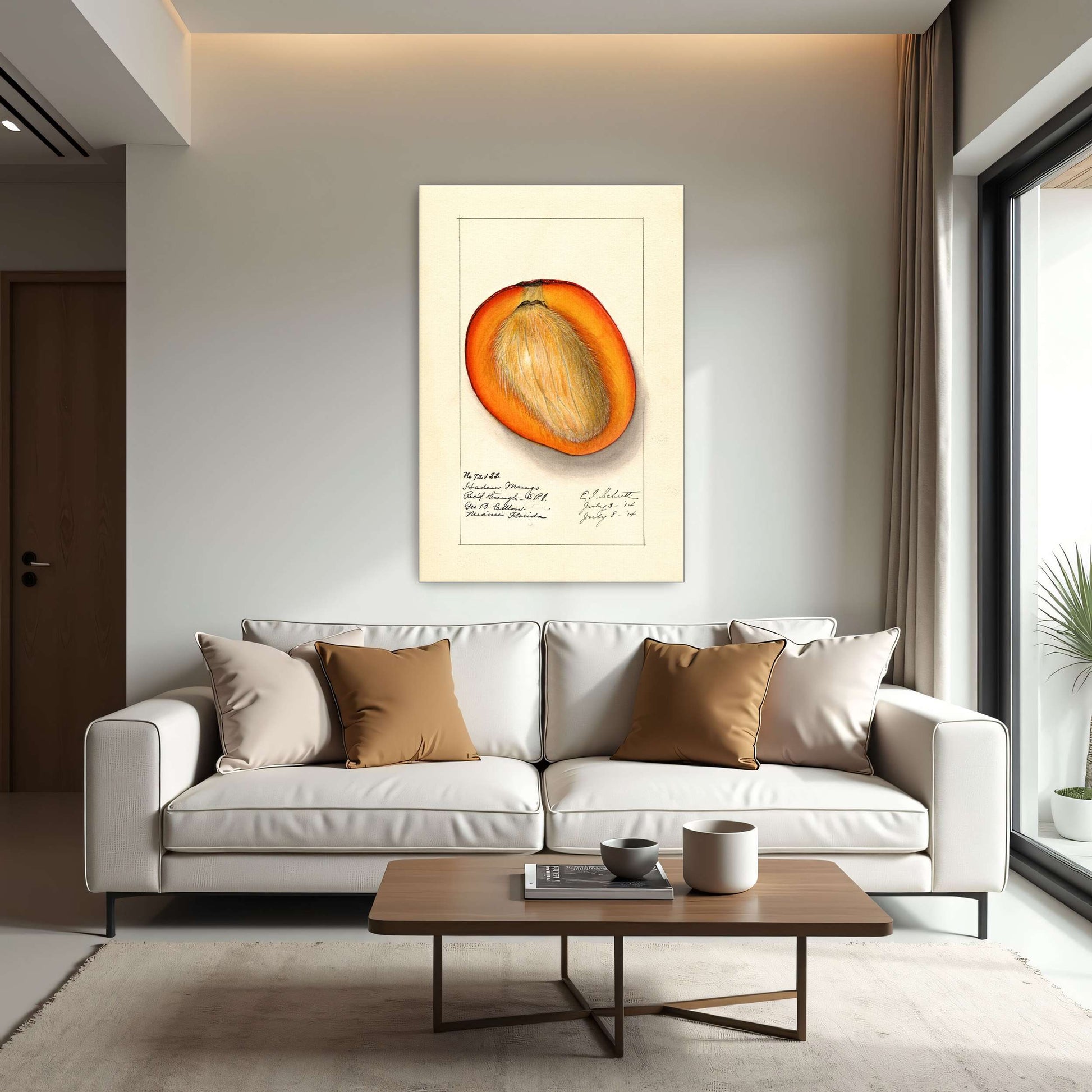 Haden Mango cross-section by Ellen Isham Schutt