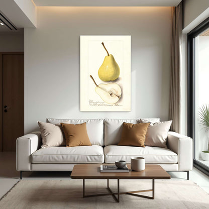 Watercolor pear painting by Deborah Griscom Passmore