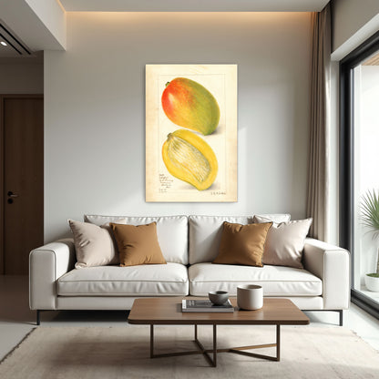 Watercolor Painting Of Two Mangoes By Amanda Almira Newton