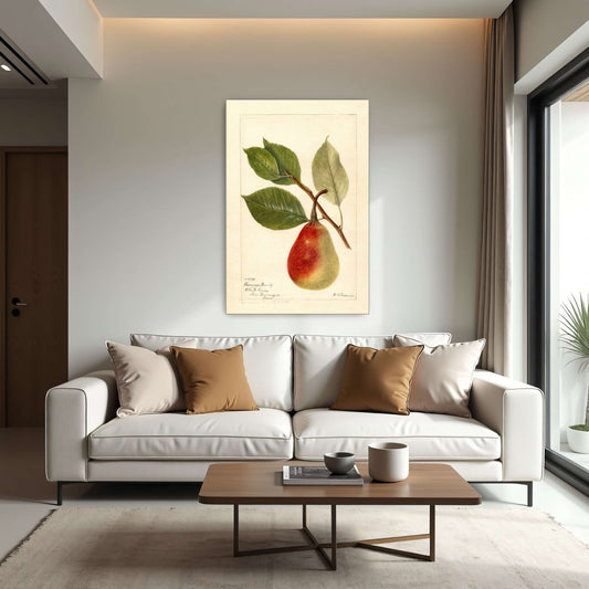 Summer Beauty pear watercolor by Deborah Griscom Passmore