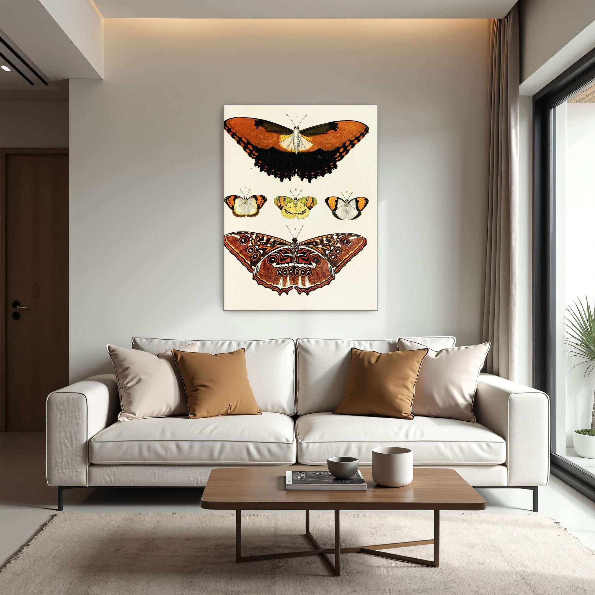 Five butterflies on white background by Pieter Cramer