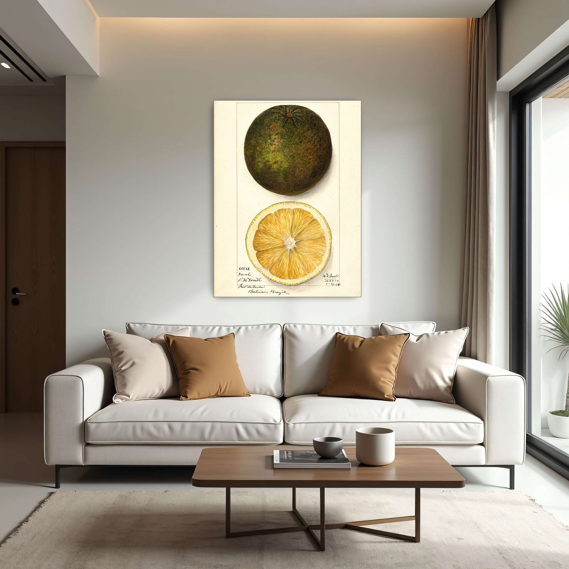 Watercolor painting of a citrus fruit by Mary Daisy Arnold
