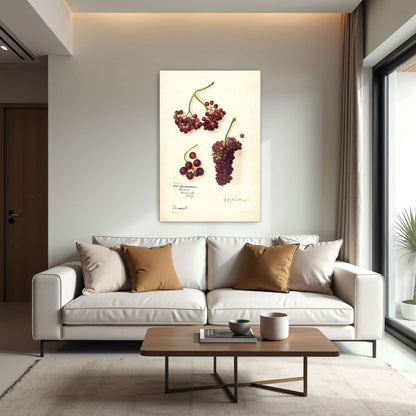 Grape and berry watercolor by Amanda Almira Newton