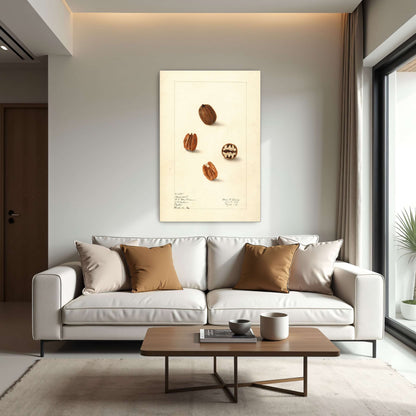 Pecans watercolor painting by Elsie E. Lower