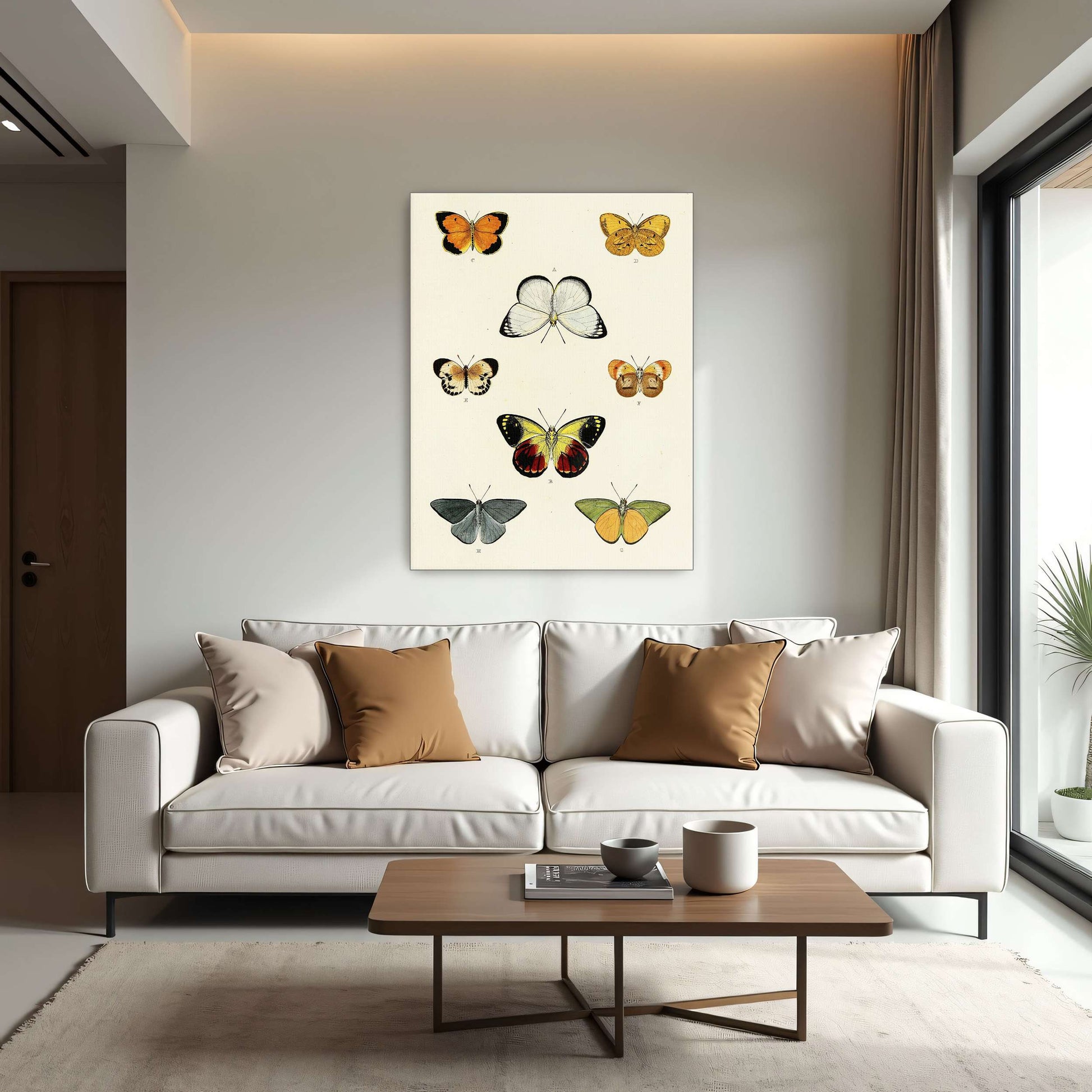 Collection of butterflies on a white page by Pieter Cramer