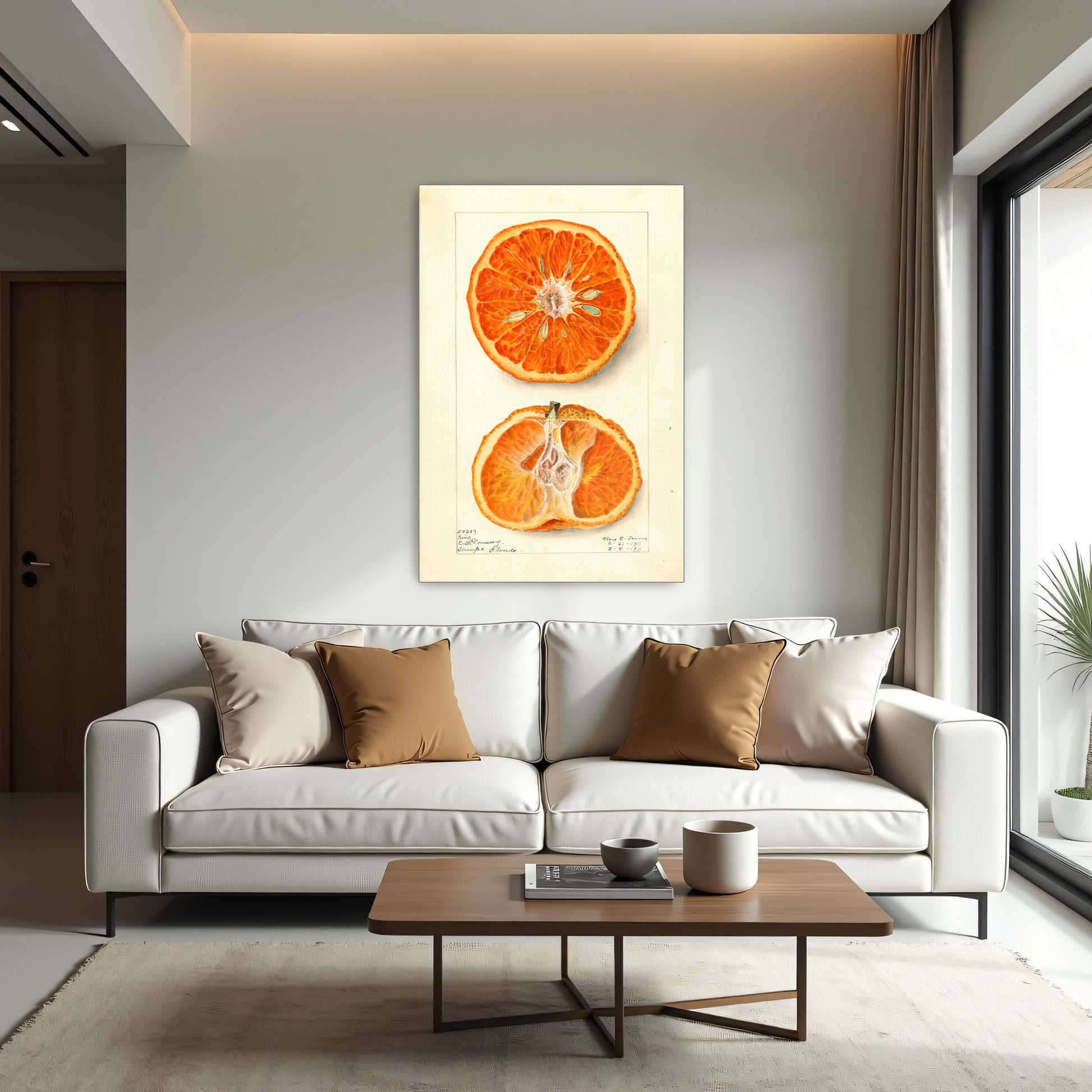 King Citrus Fruit Watercolor Illustration By Elsie E. Lower