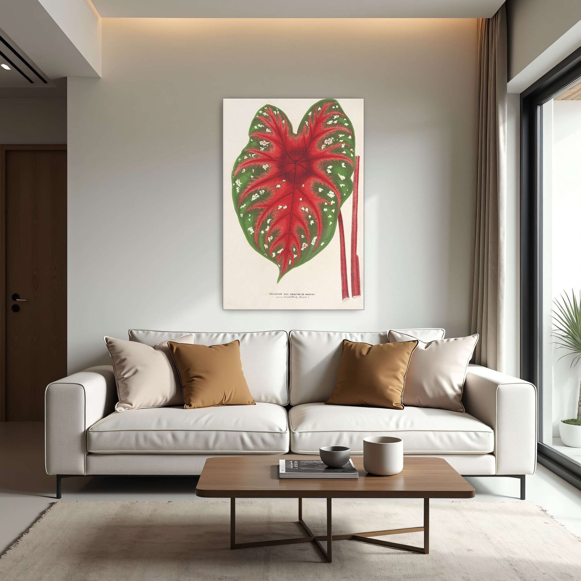 Caladium leaf botanical illustration by Charles Antoine Lemaire