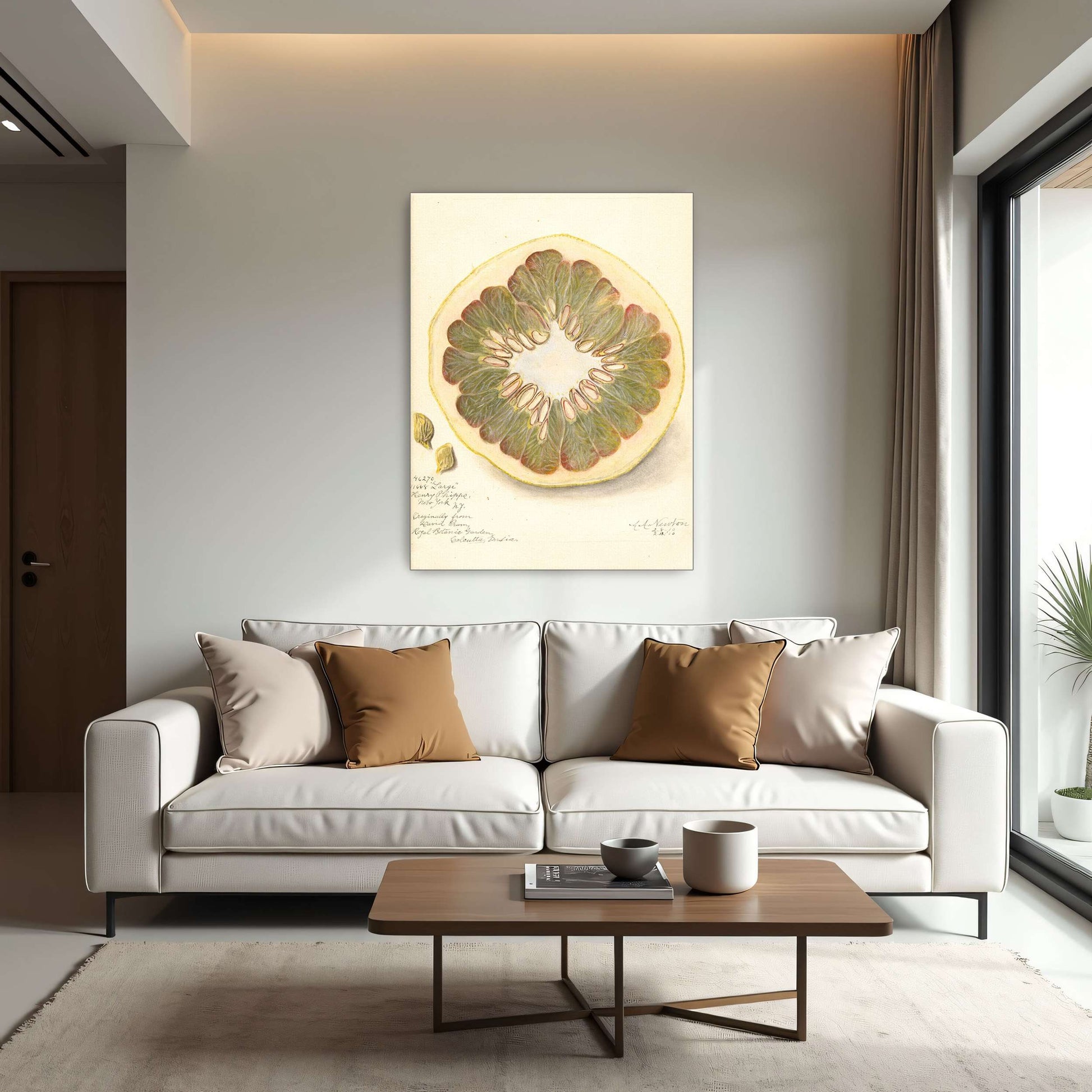 Pomelo cross-section watercolor by Amanda Almira Newton