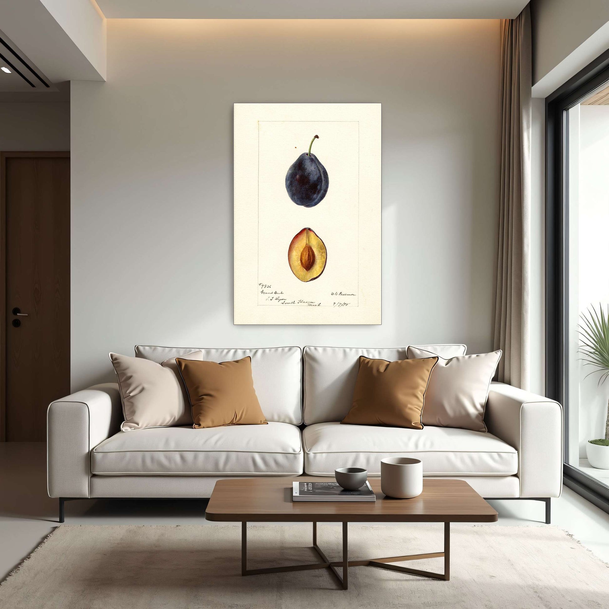 Plum watercolor painting by Deborah Griscom Passmore