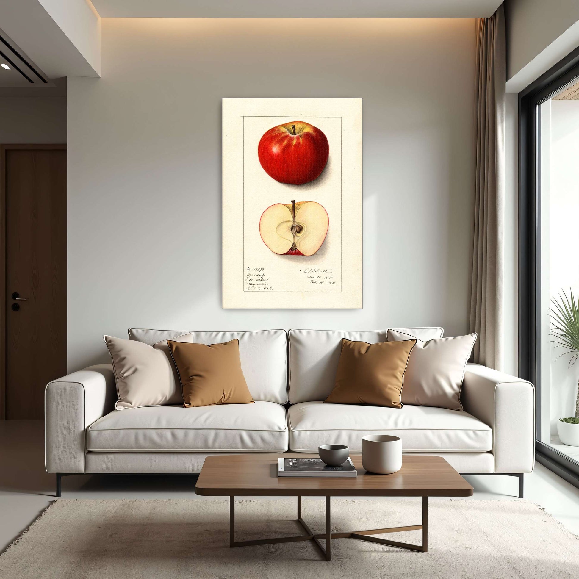 Winesap apple illustration by Ellen Isham Schutt