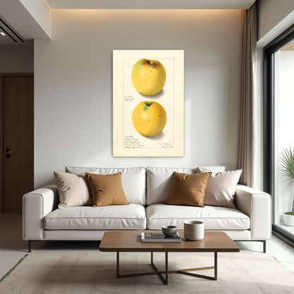 Two Yellow Apples Watercolor by Ellen Isham Schutt