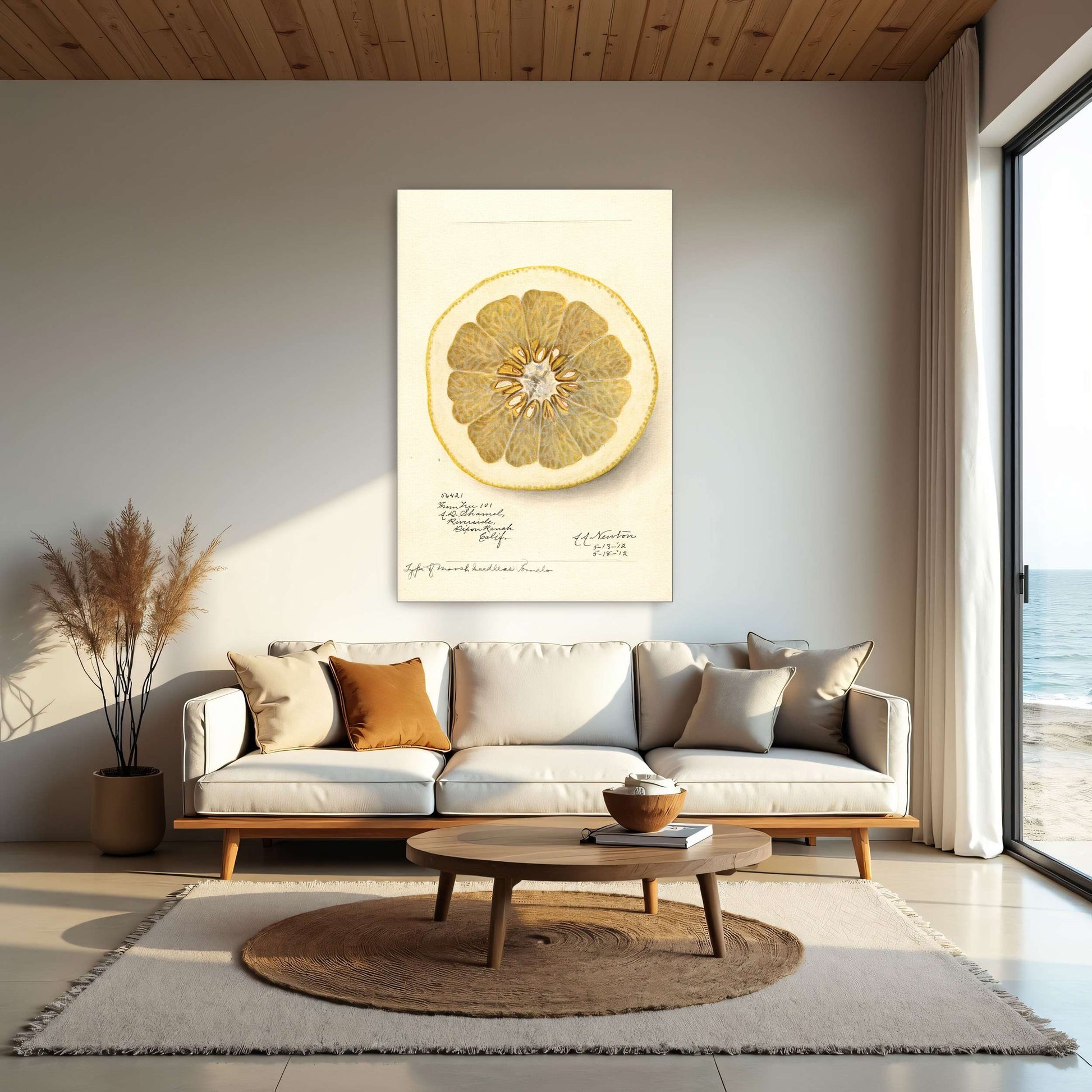 Watercolor of pomelo cross-section by Amanda Almira Newton