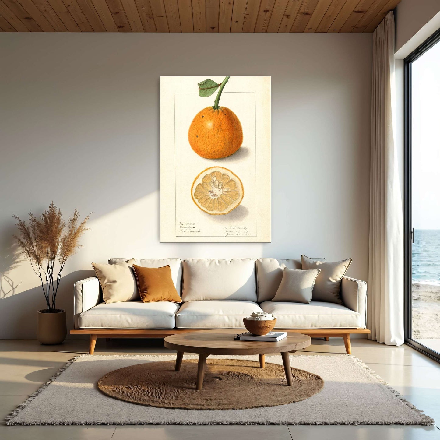 Orange fruit botanical illustration by Ellen Isham Schutt