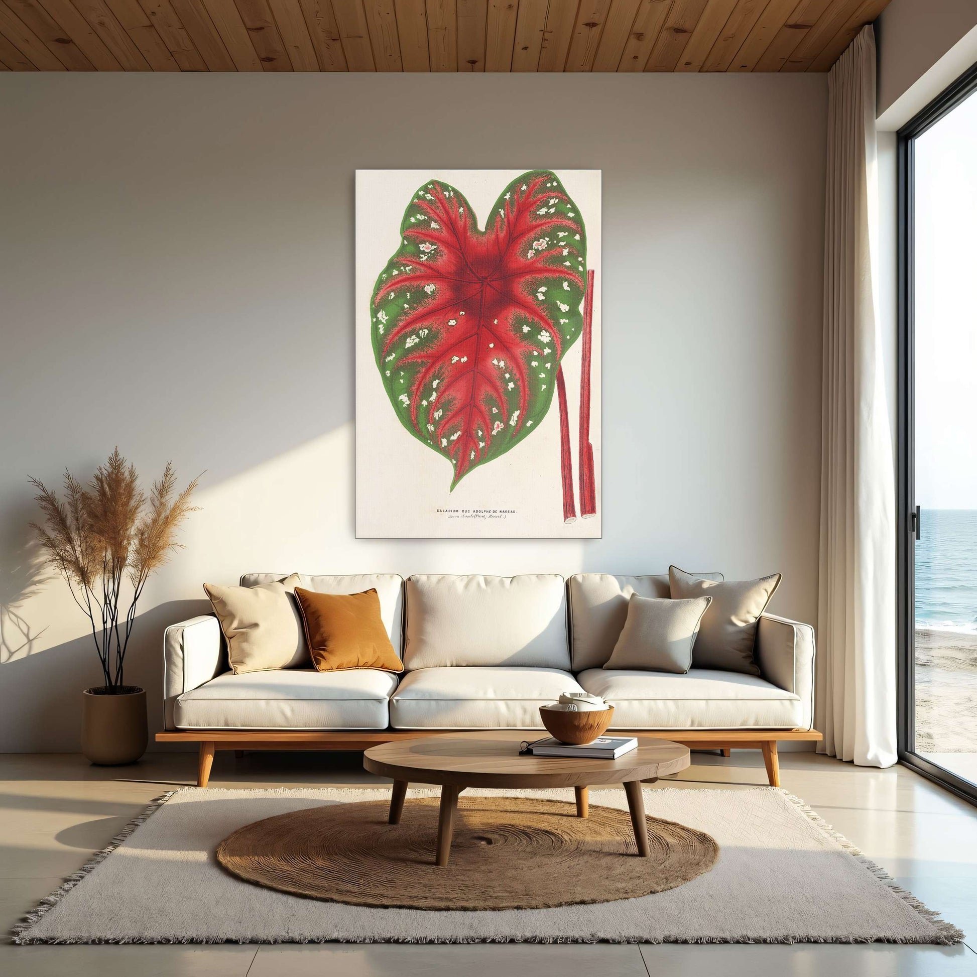 Caladium leaf botanical illustration by Charles Antoine Lemaire