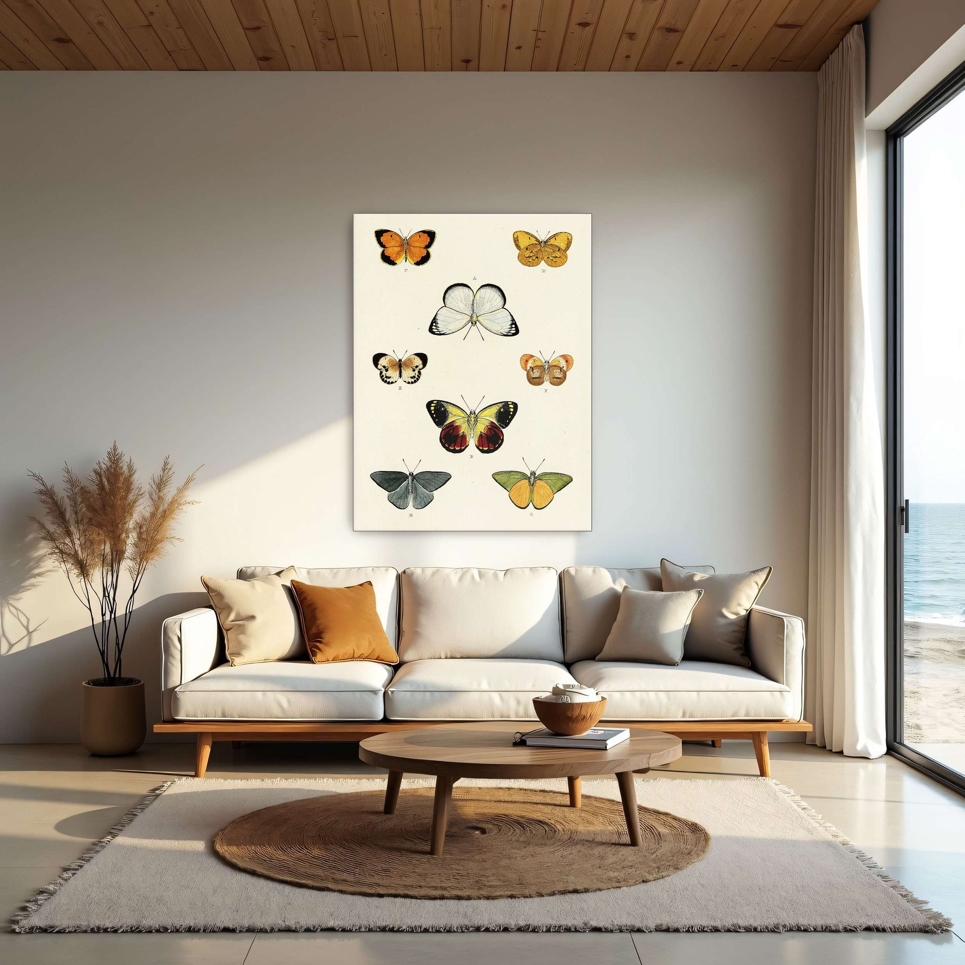 Collection of butterflies on a white page by Pieter Cramer