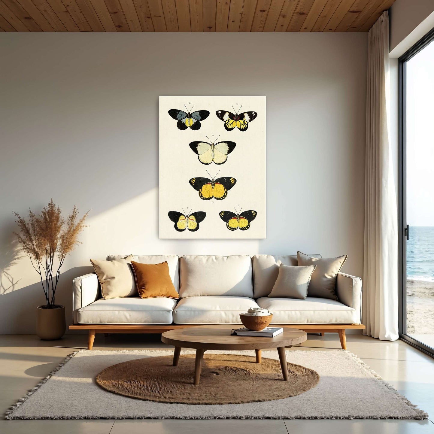 Five butterflies on white background by Pieter Cramer