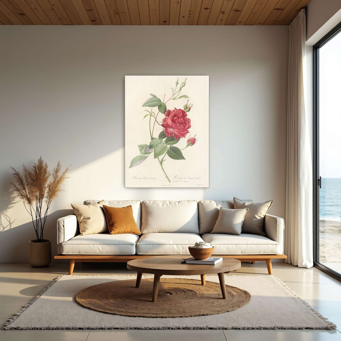 Red Rose Botanical Illustration by Pierre Joseph Redouté