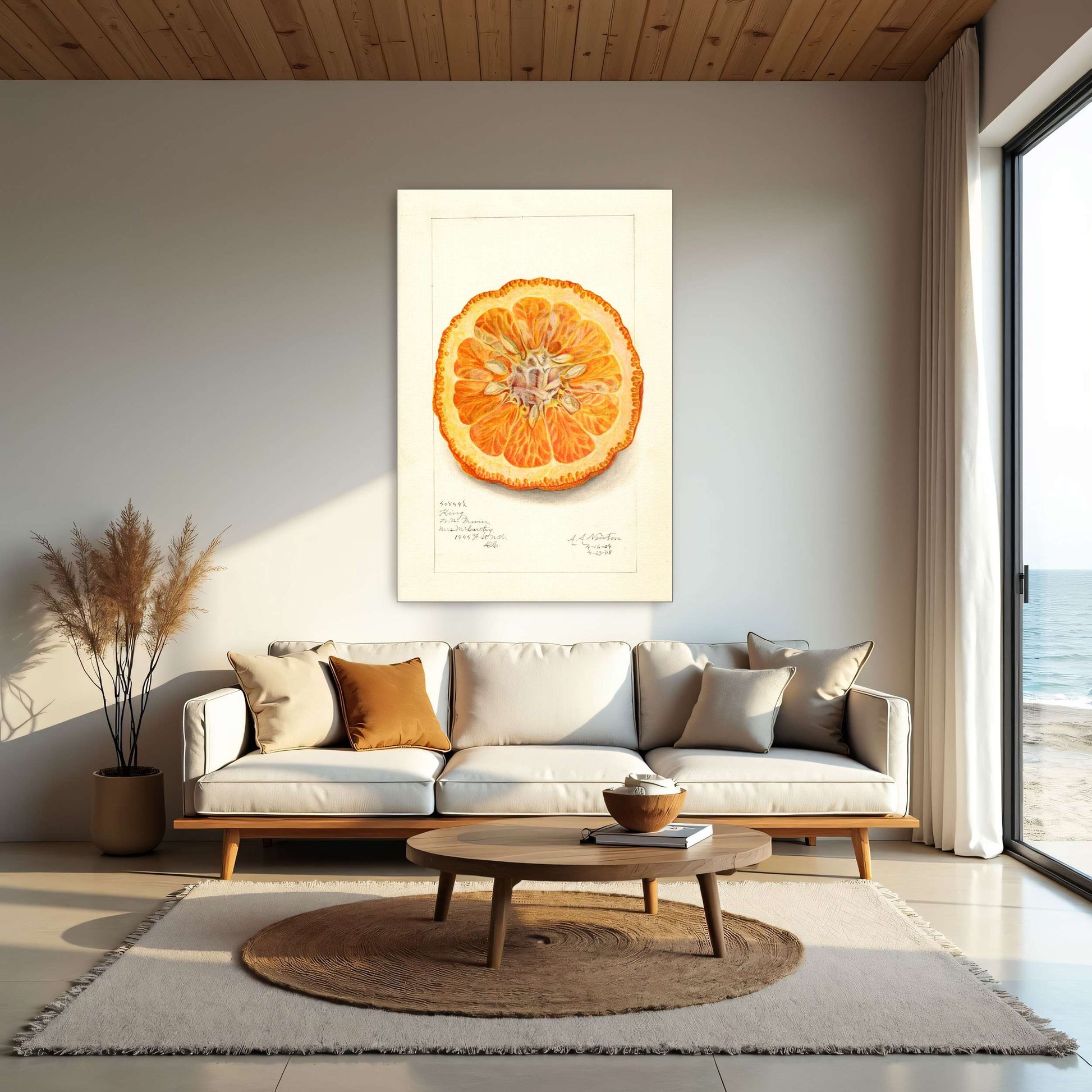 Dried orange slice watercolor by Amanda Almira Newton