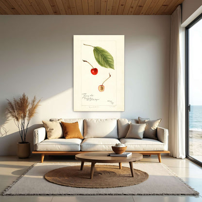 Cherry leaf and fruit watercolor by Bertha Heiges