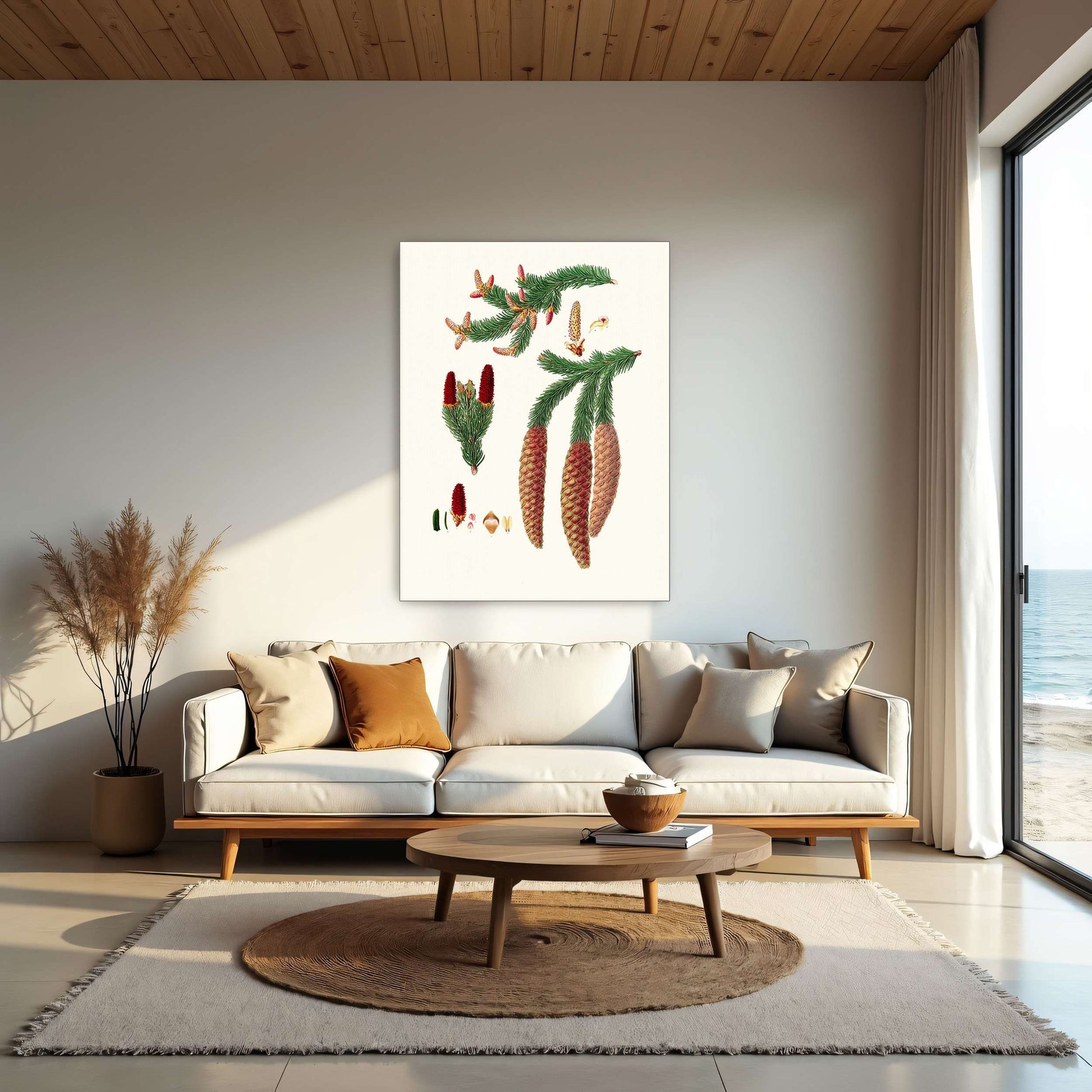 Norway spruce fir botanical illustration by Aylmer Bourke Lambert
