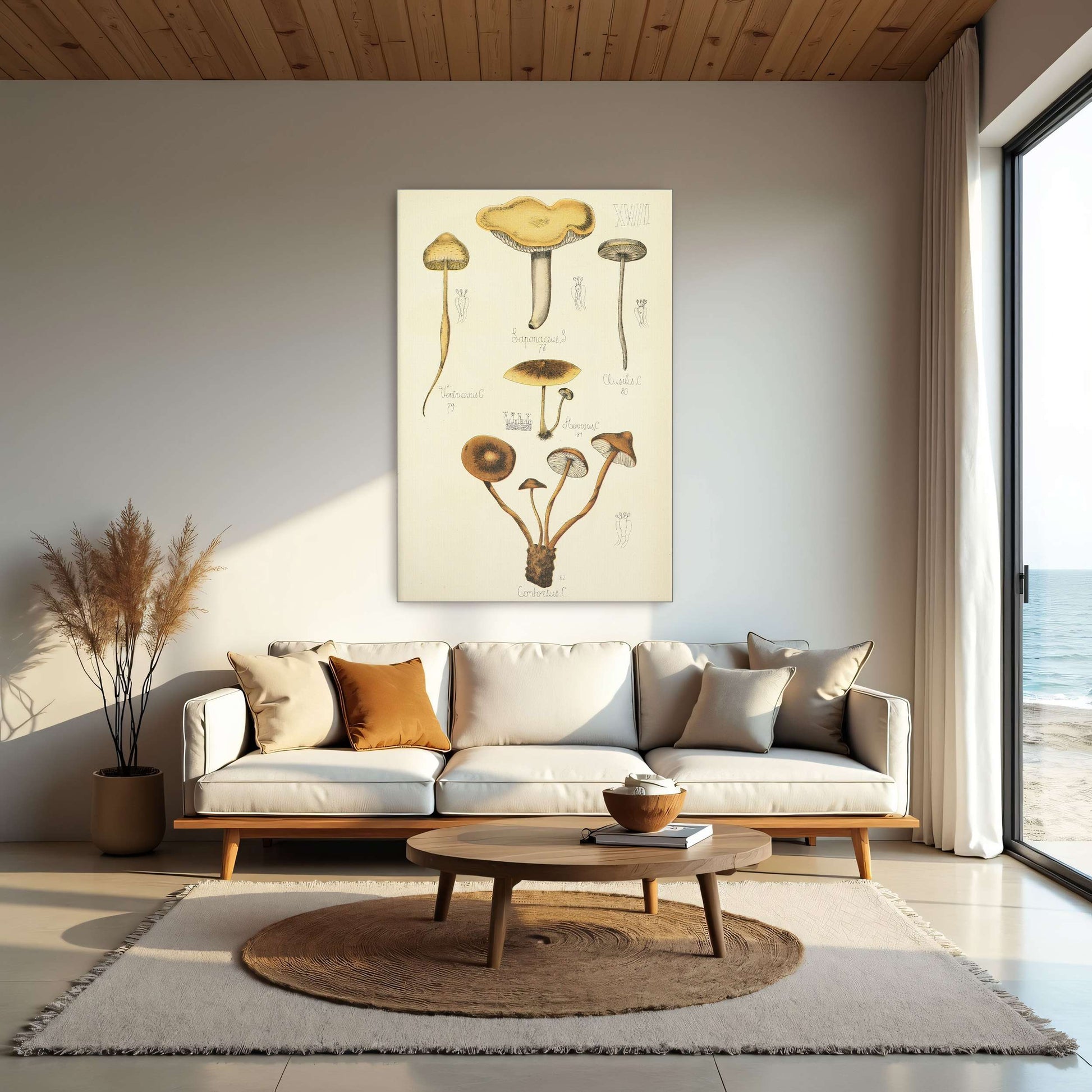 Mushroom illustration plate by Guillaume Sicard