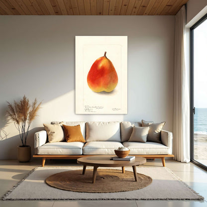 Watercolor painting of a pear by Deborah Griscom Passmore