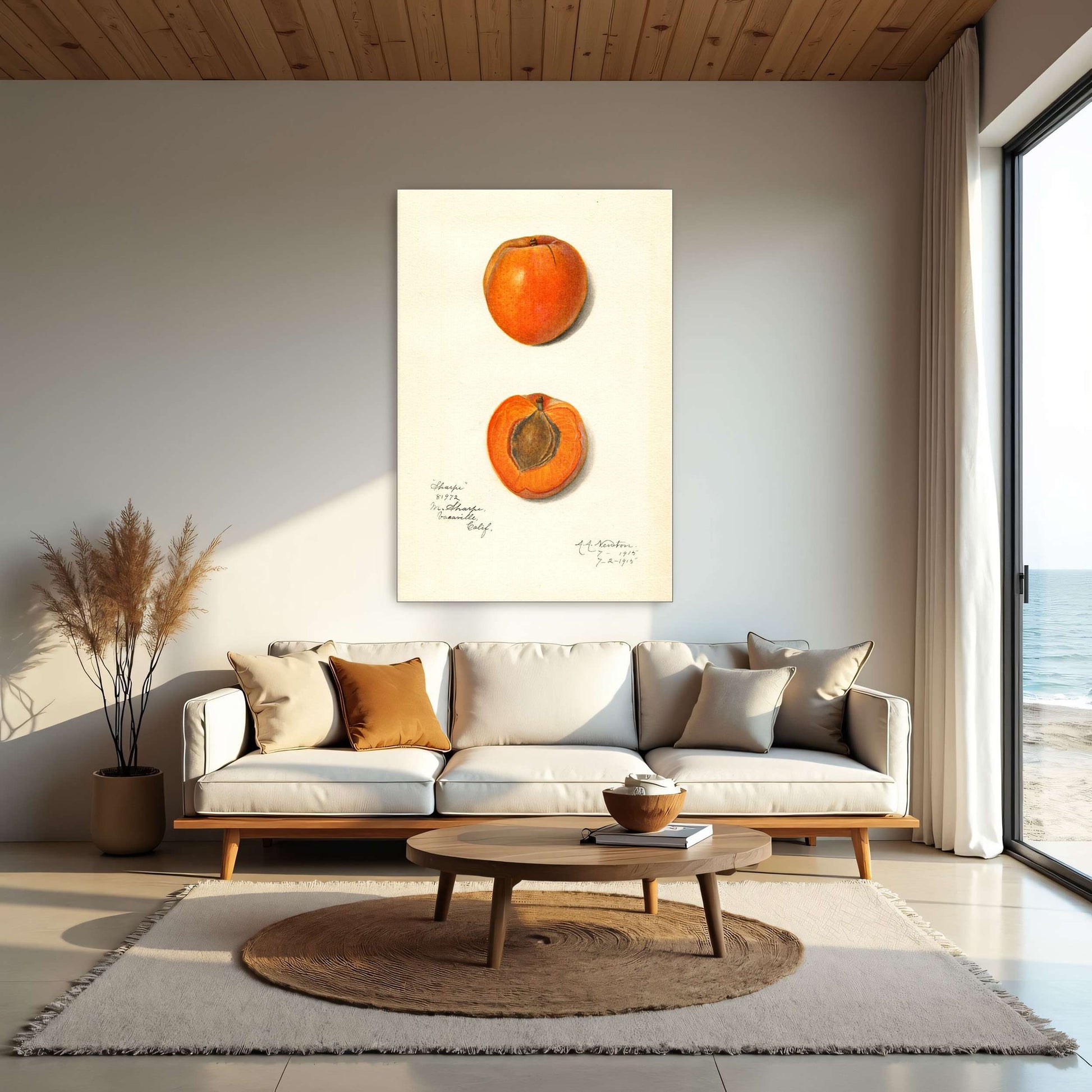 Apricot watercolor painting by Amanda Almira Newton
