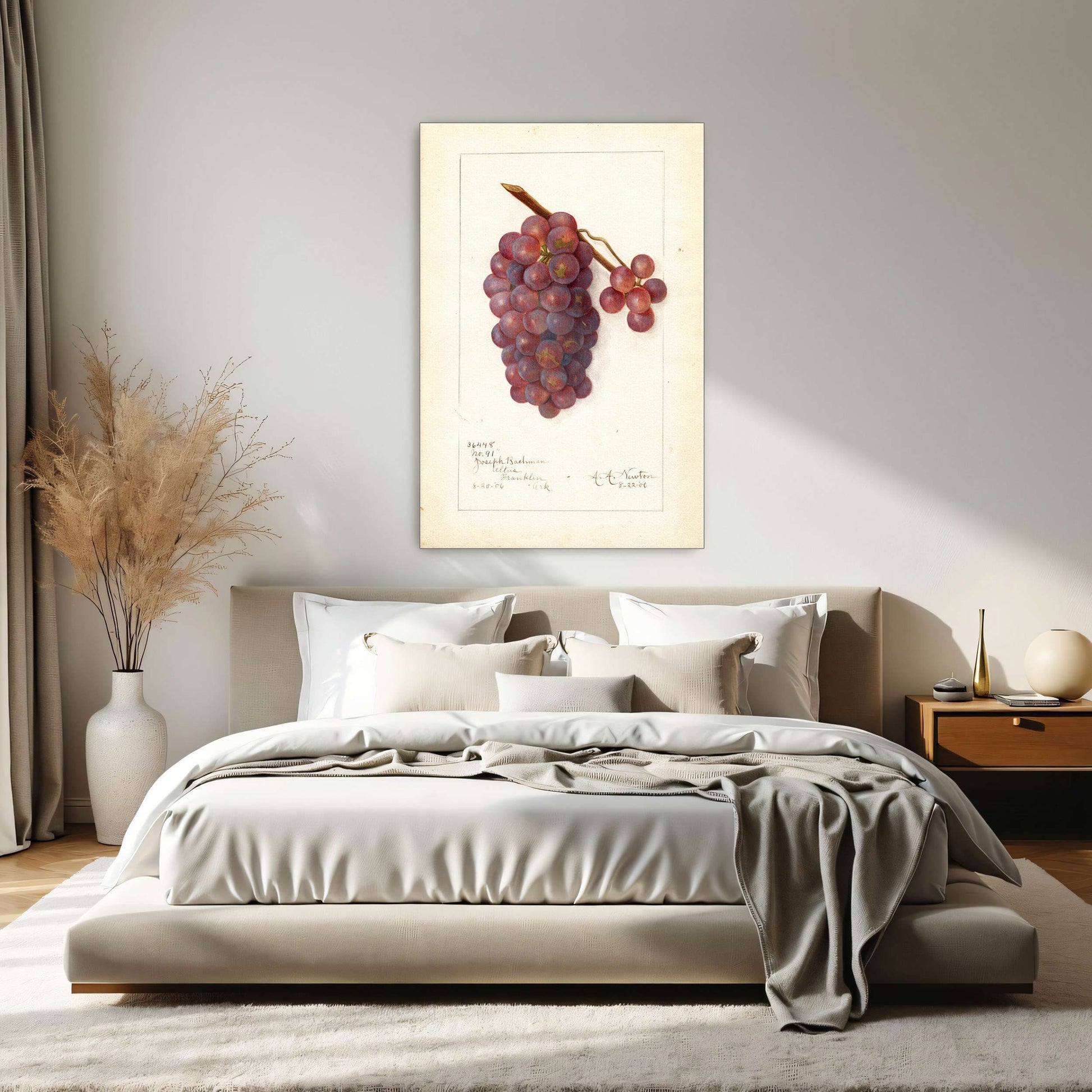 Watercolor painting of grapes by Amanda Almira Newton