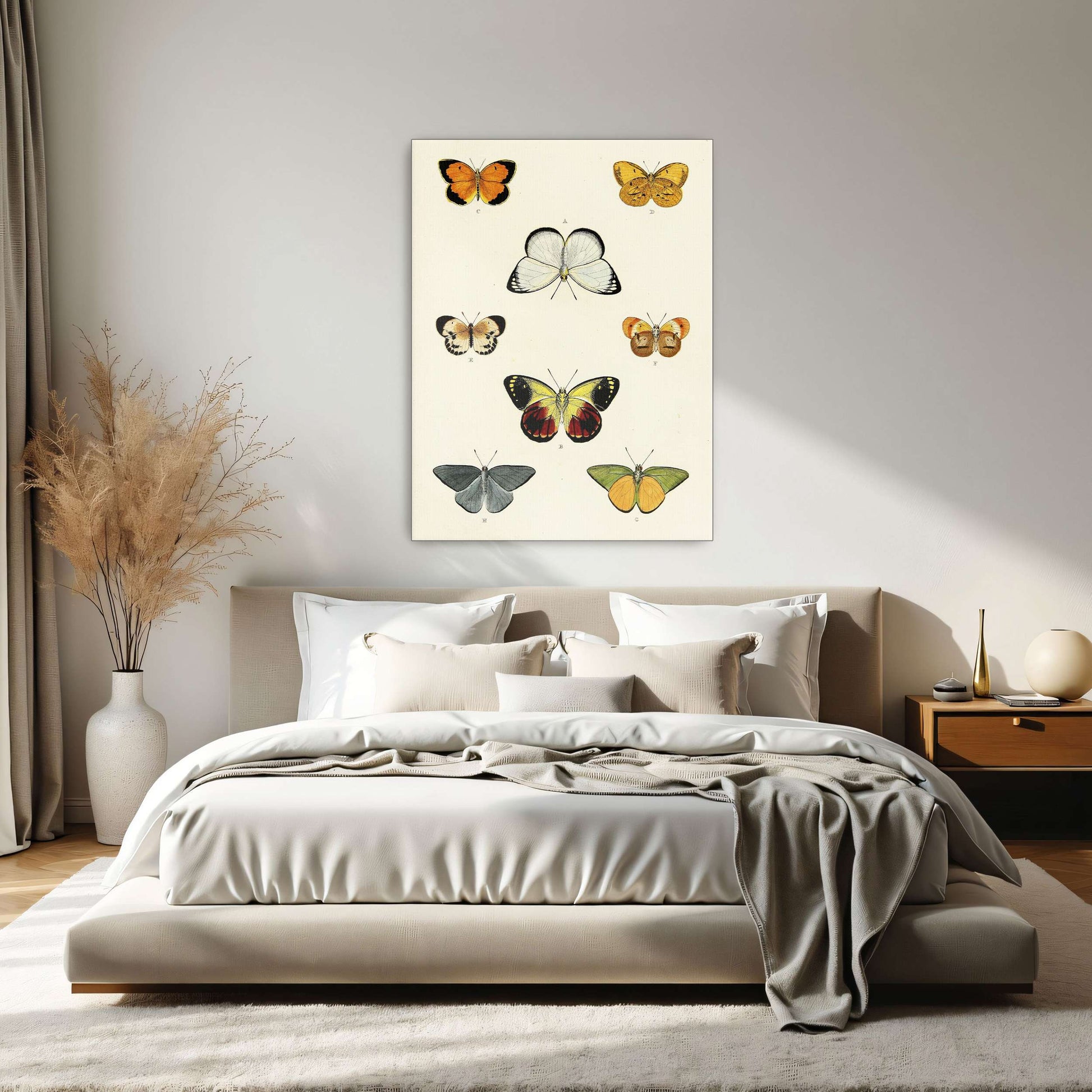 Collection of butterflies on a white page by Pieter Cramer