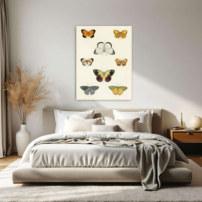 Collection of butterflies on a white page by Pieter Cramer