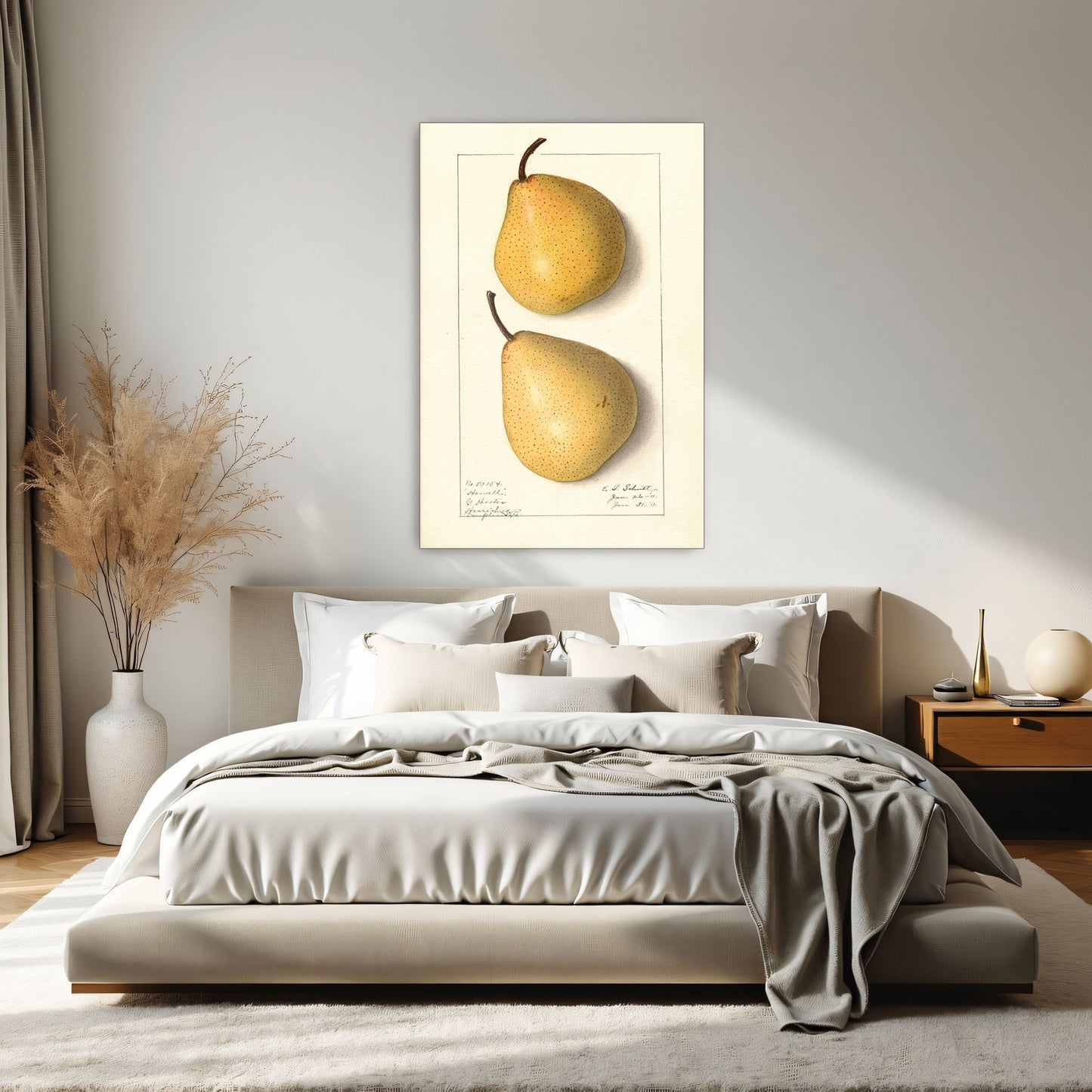 Howell Pear Watercolor Botanical Illustration By Ellen Isham Schutt