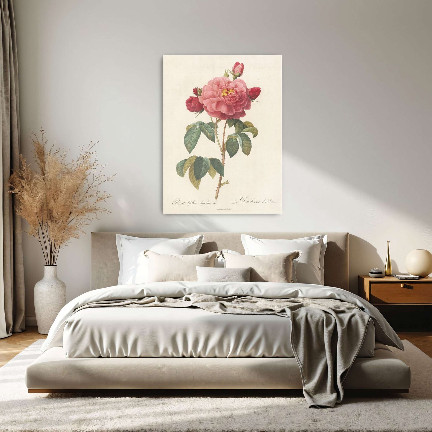 Pink rose botanical illustration by Pierre Joseph Redouté