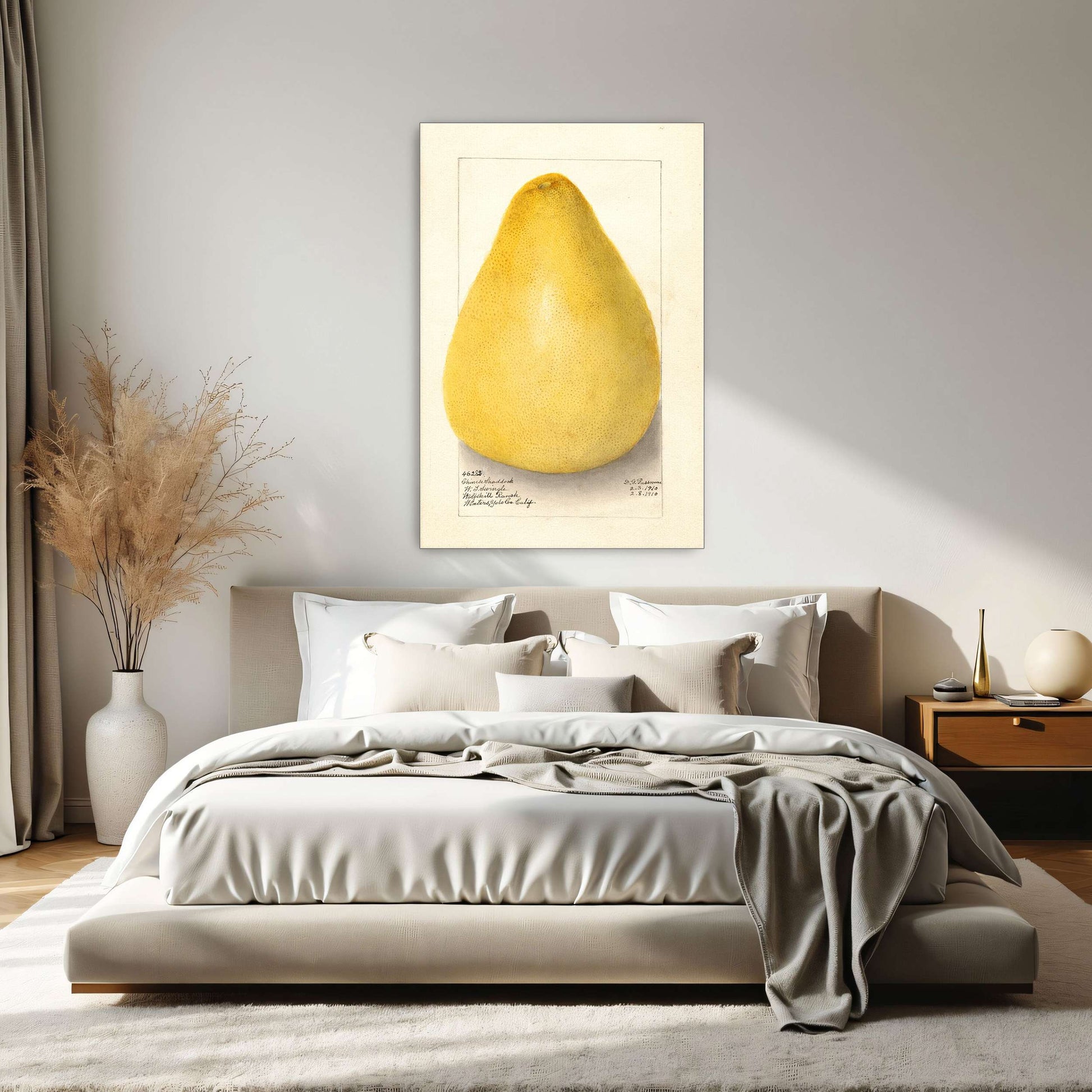 Watercolor of a pomelo by Amanda Almira Newton