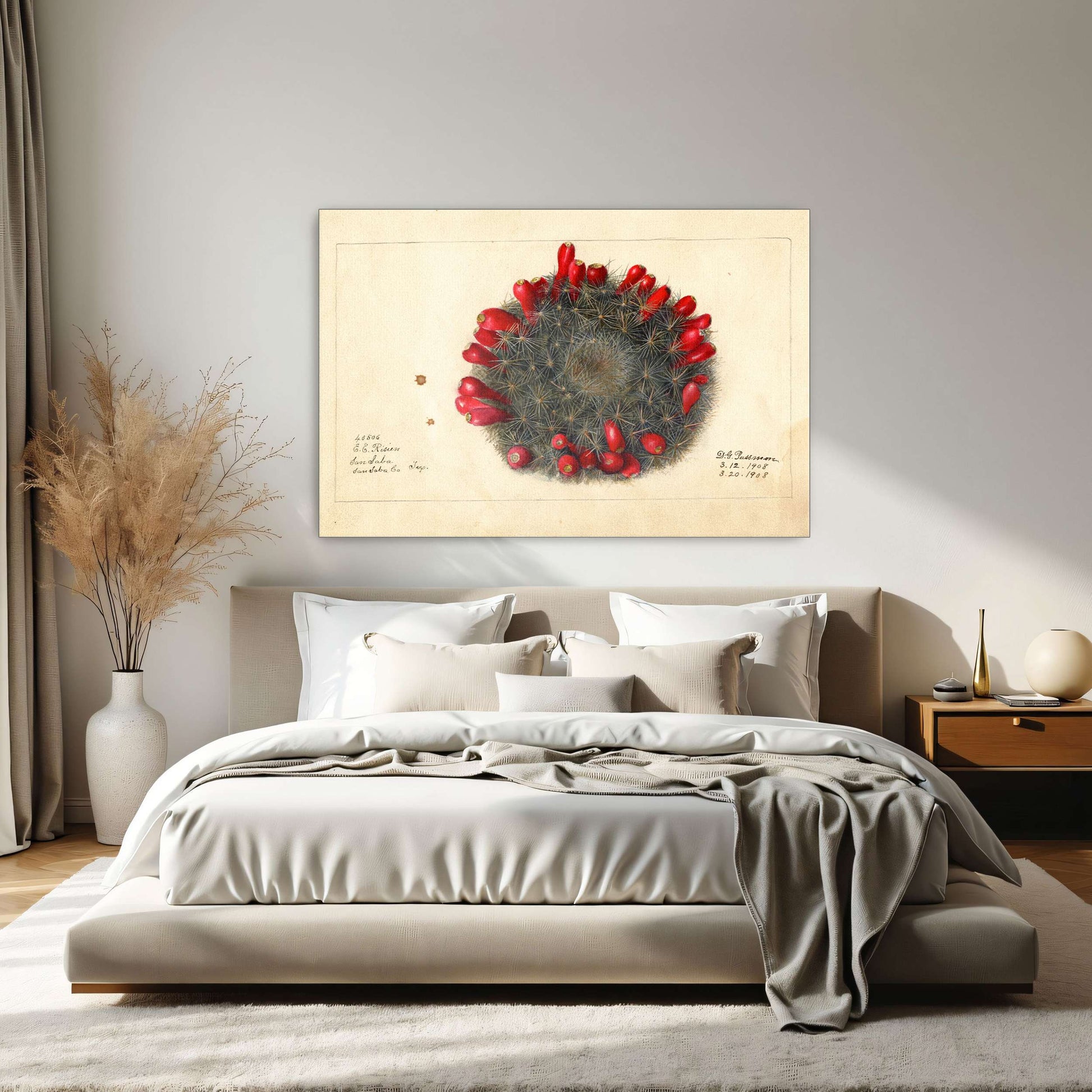 Cactus with red flowers by Deborah Griscom Passmore