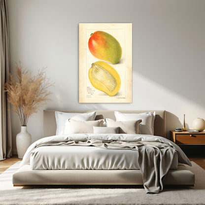 Watercolor Painting Of Two Mangoes By Amanda Almira Newton