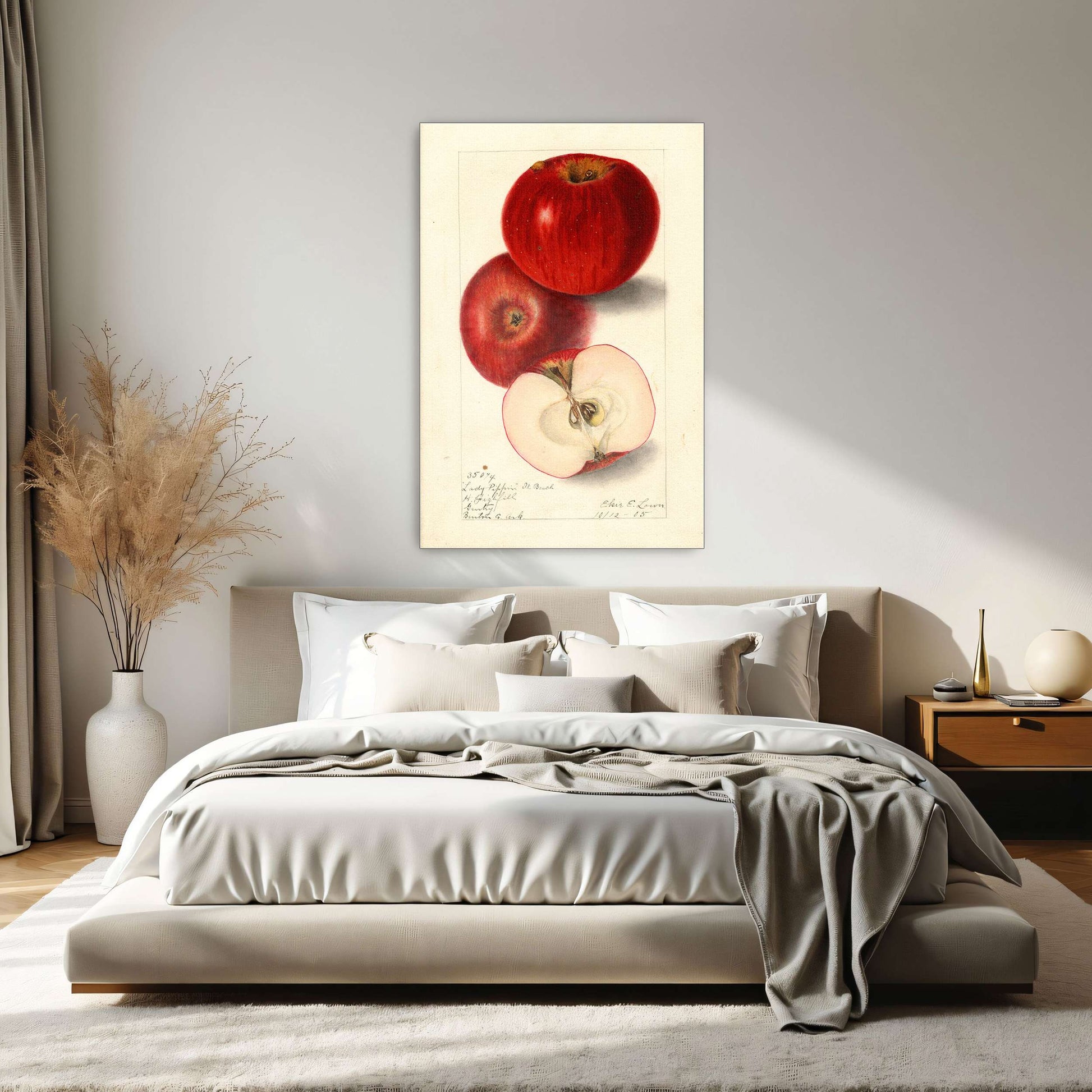 Three red apples, watercolor painting by Elsie E. Lower