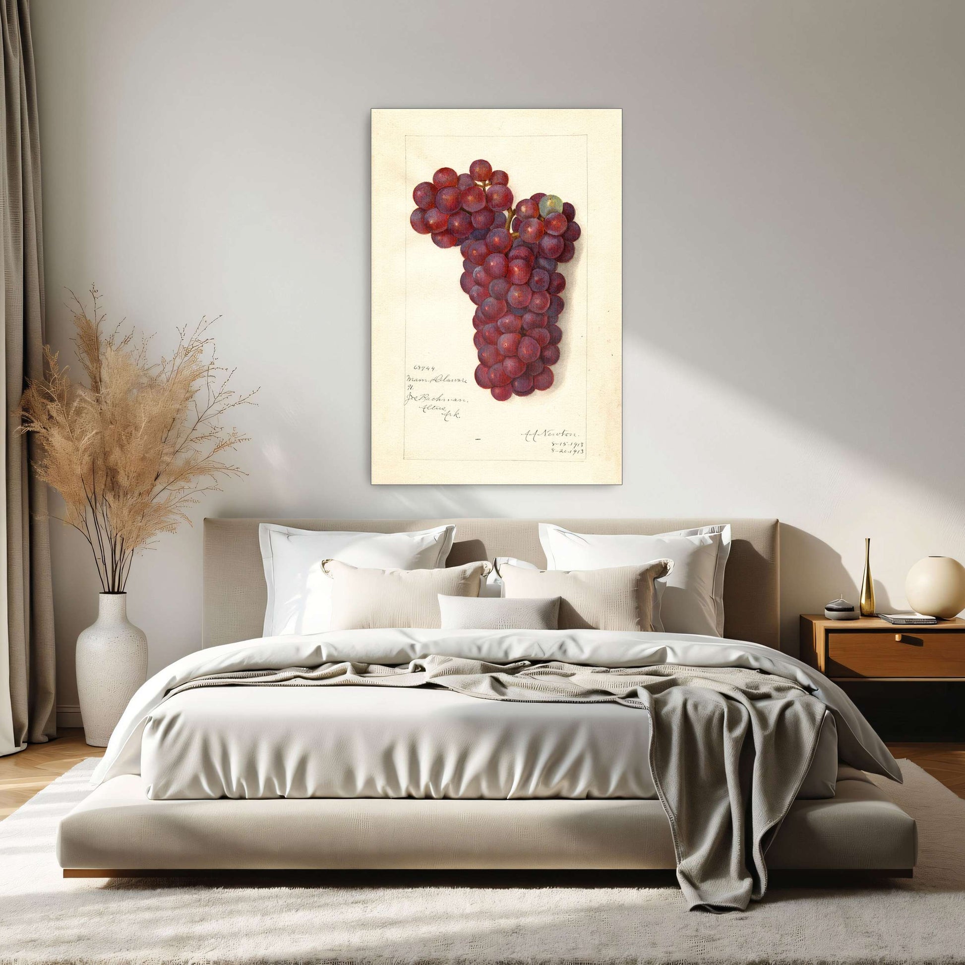 Watercolor painting of grapes by Amanda Almira Newton