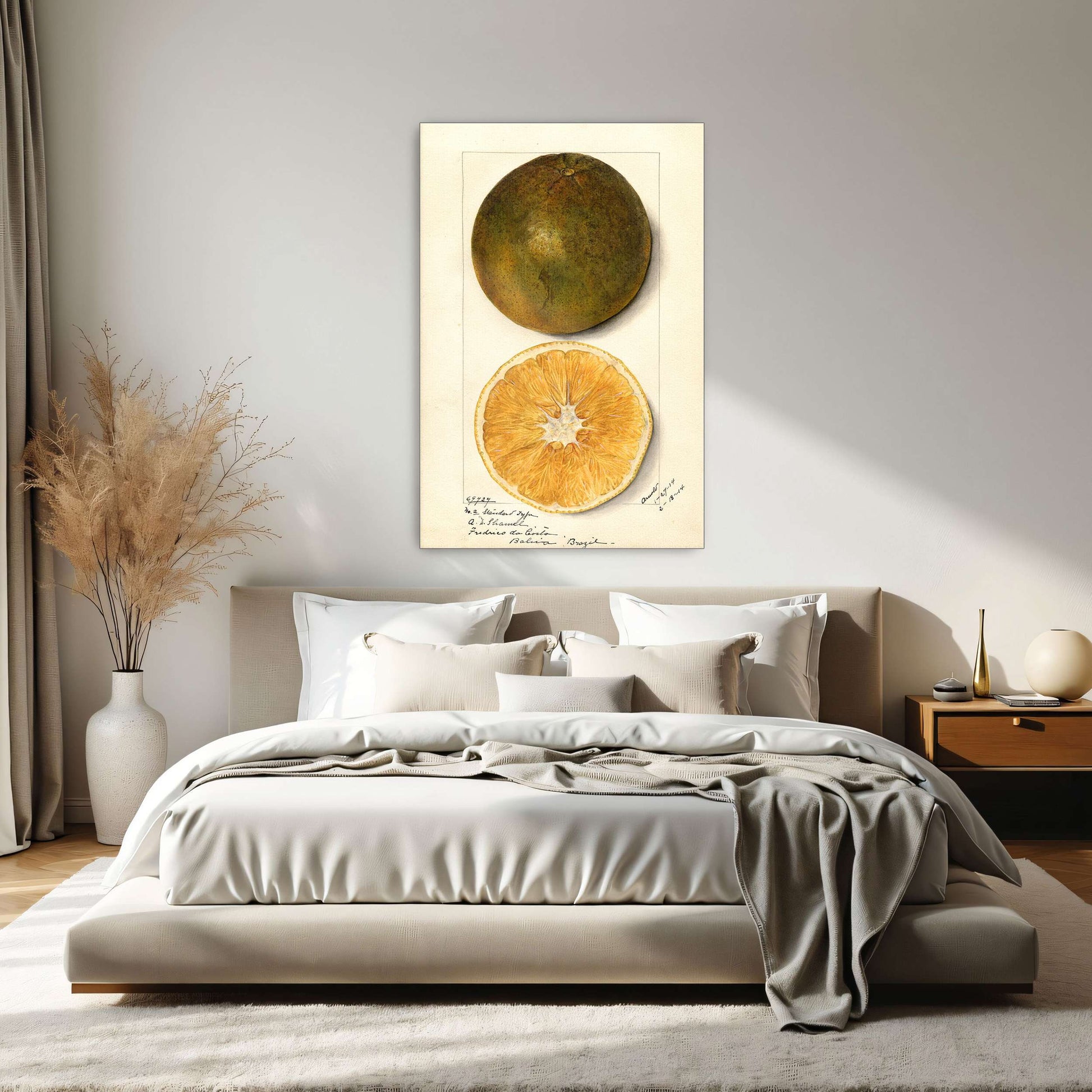 Orange fruit watercolor painting by Mary Daisy Arnold