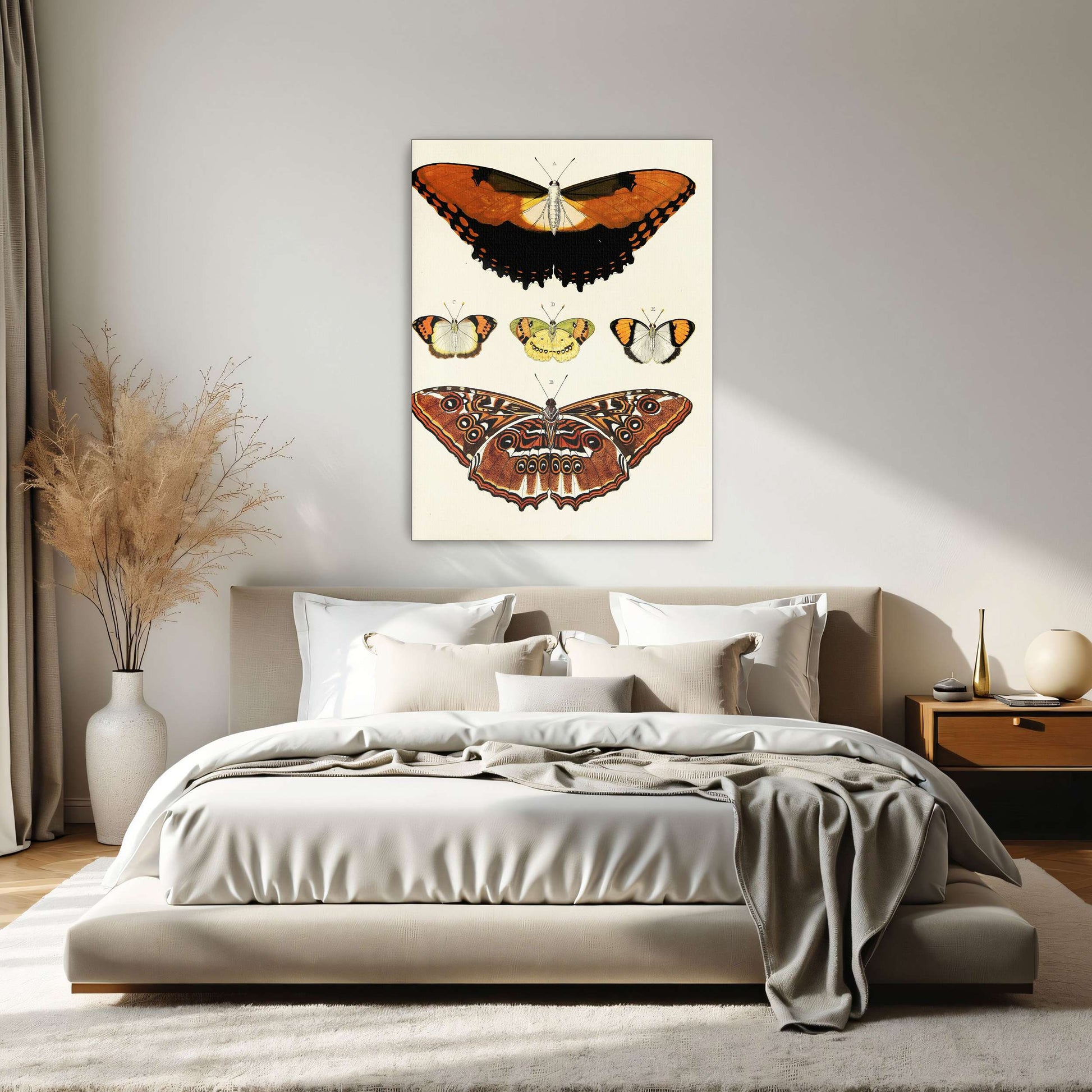 Five butterflies on white background by Pieter Cramer
