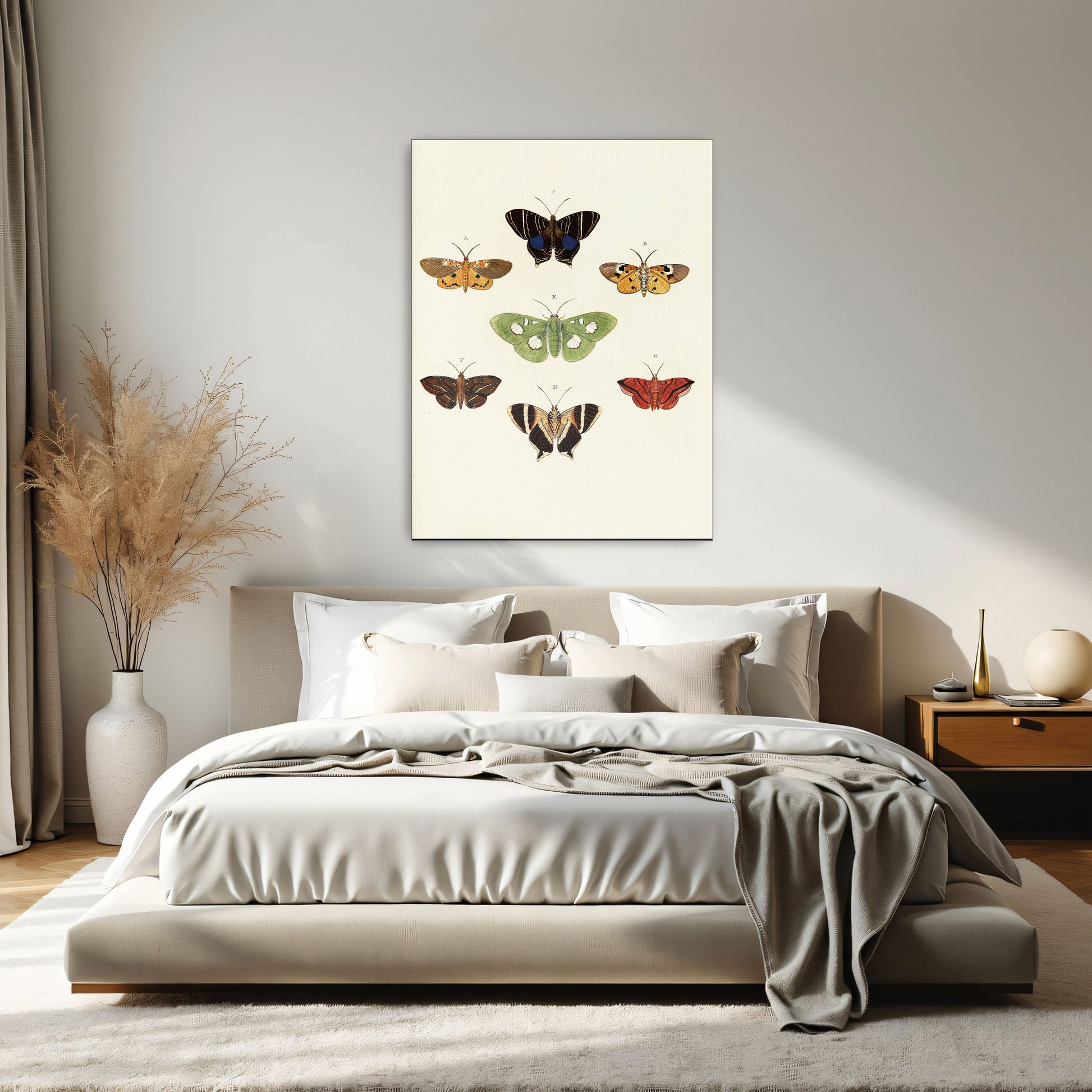 Exotic Butterflies Illustration By Pieter Cramer