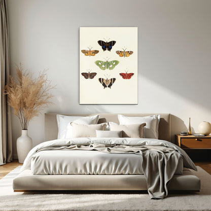 Exotic Butterflies Illustration By Pieter Cramer