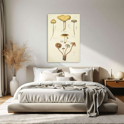 Mushroom illustration plate by Guillaume Sicard